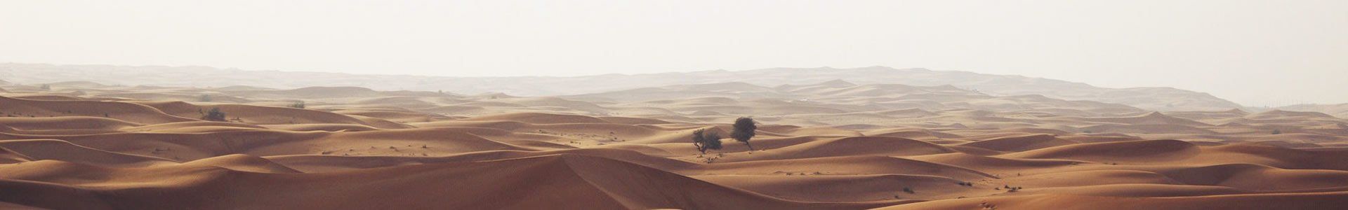 ˲˼̩Ƽ޹˾
